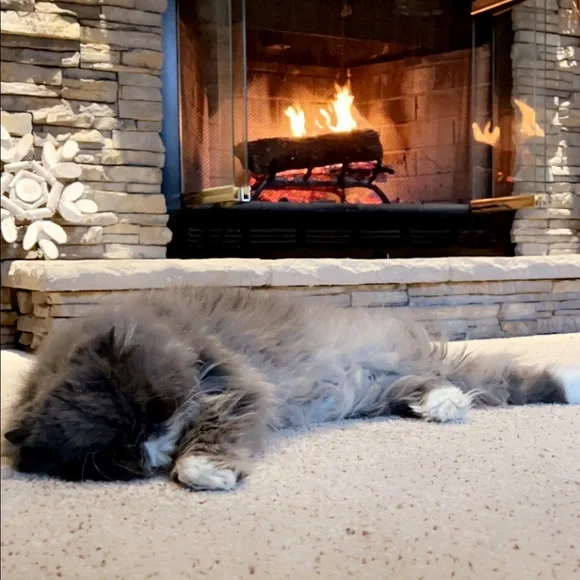 🤟🏻Welcome! - Picture 4 of 6